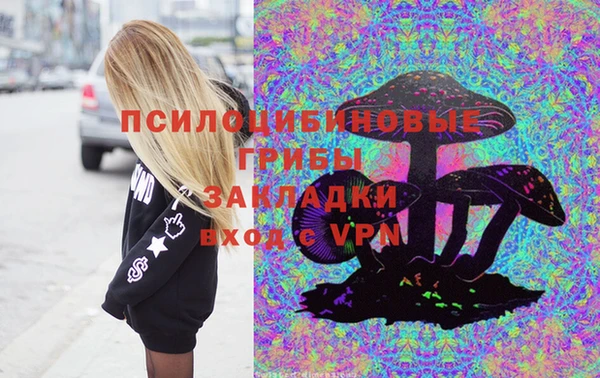 СК Алексин