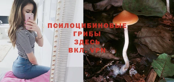 трава Абинск
