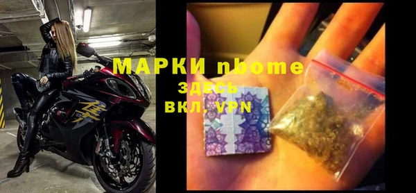 СК Алексин
