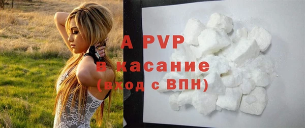 прущие крисы Абаза