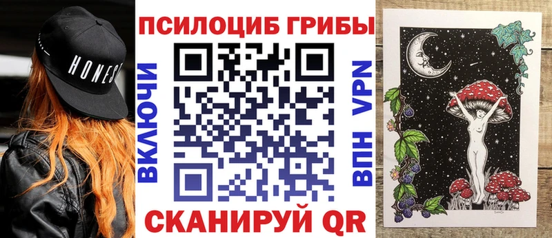 наркота  kraken ссылки  Галлюциногенные грибы Psilocybe  Зеленокумск 