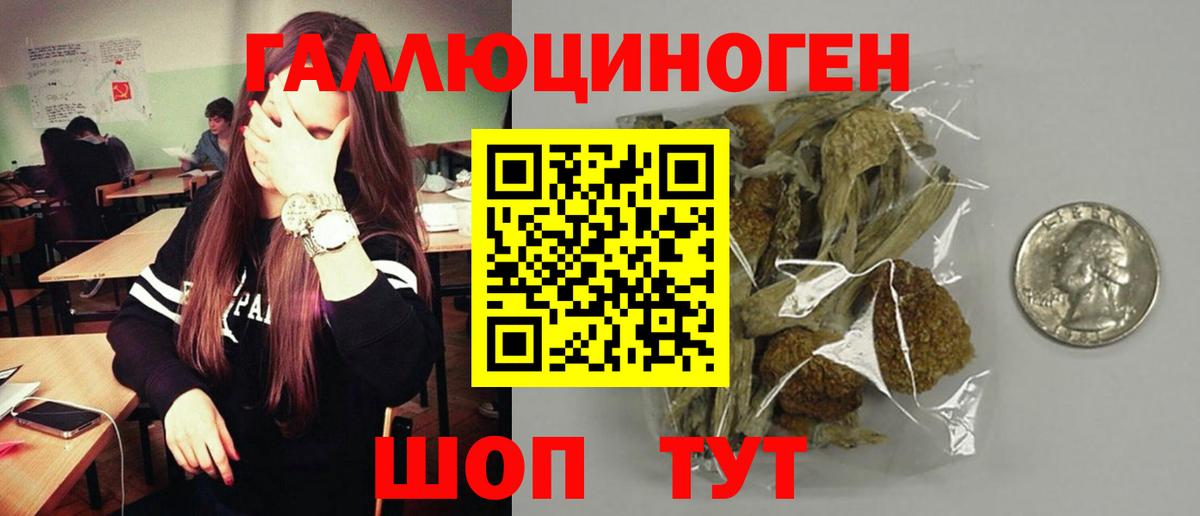 Зеленокумск  Псилоцибиновые грибы Psilocybe  Вход с VPN 