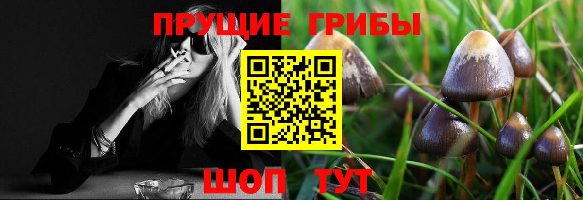 Галлюциногенные грибы MAGIC MUSHROOMS Зеленокумск